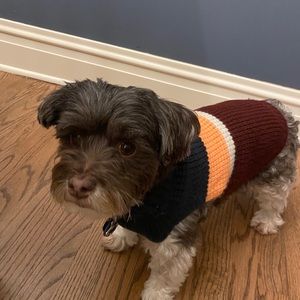 Meet your Posher, Annie